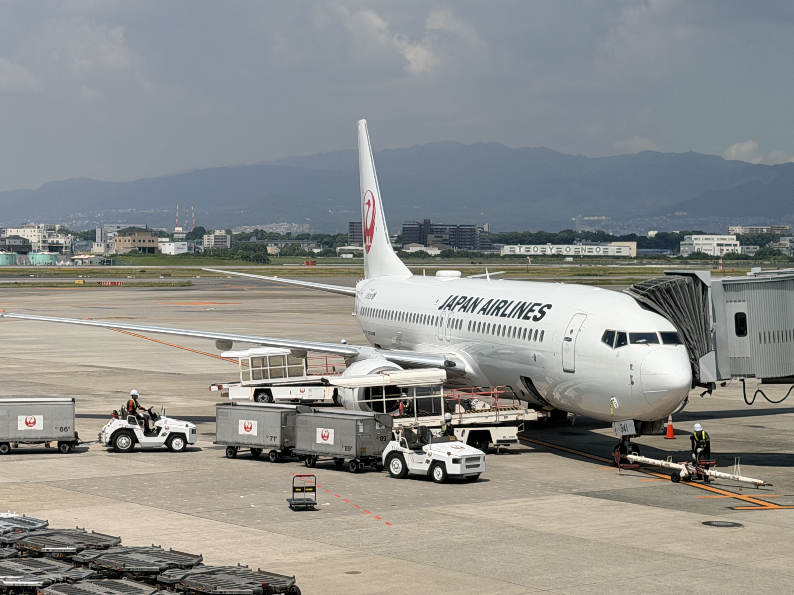 伊丹空港で撮影したJALのB738（ボーイング737-800）